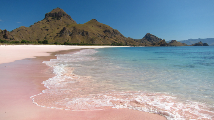 RINCA -KOMODO–PINK BEACH-LABUANBAJO